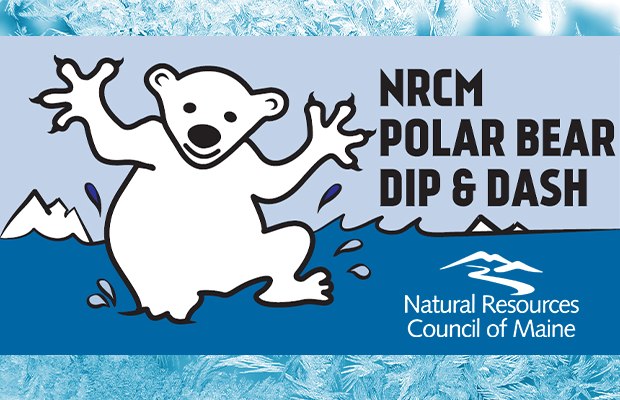 Fight Climate Change with the Polar Bear Dip & Dash!